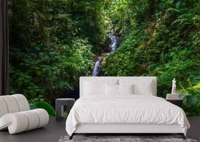 Small Waterfall in a Monteverde Cloud Forest Reserve in Costa Rica. Foggy rainforest in the mountains. Central America. Wall mural