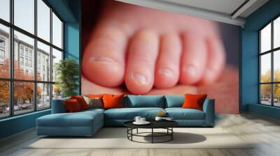 baby macro Wall mural