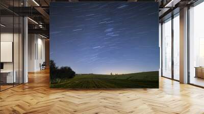 stars Wall mural