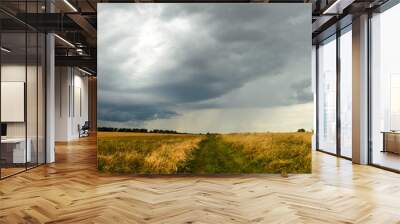 Summer cloudy panoramic landscape with rural road passing through meadows and fields.Ominous clouds in overcast sky over the ripe wheat agricultural fields. Wall mural