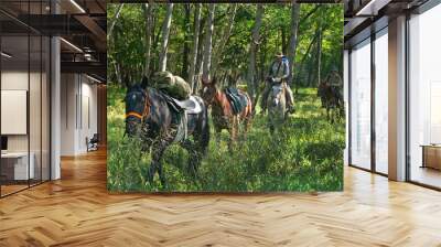 horse expedition Wall mural