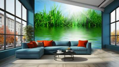 Green grass against a blue sunny sky Wall mural