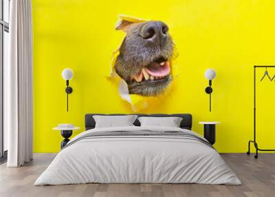 a dog nose sticks out of a hole in a yellow torn piece of paper Wall mural