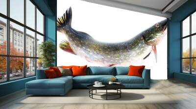 Fish pike Wall mural