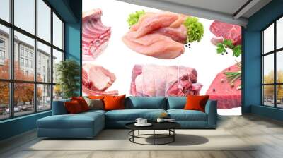 Meat set isolated Wall mural