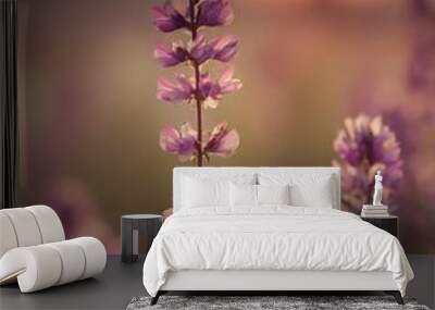 floral background- aesthetic close-up of wildflowers in a meadow in the setting sun (lavender or sage) Wall mural