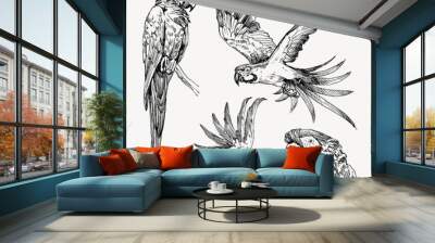 Set of hand drawn sketch black and white vintage exotic tropical bird parrot macaw and cockatoo. Vector illustration isolated object Wall mural