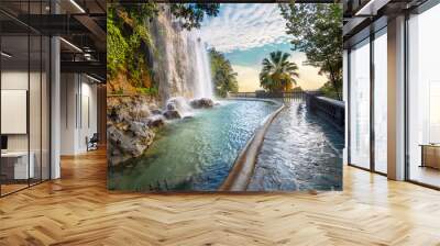 Waterfall in Parc de la Colline du Chateau. Nice, Cote d'Azur, France Wall mural