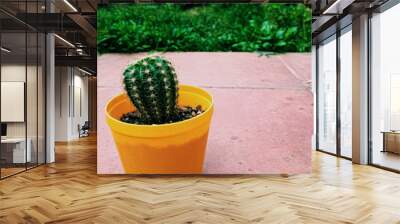 Cactus 2 Wall mural