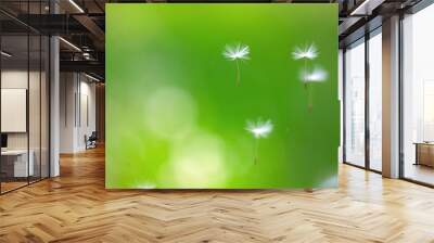 Dandelion seeds fly, blurred background Wall mural