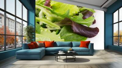 Fresh salad Wall mural