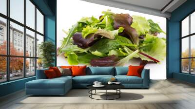 fresh salad Wall mural