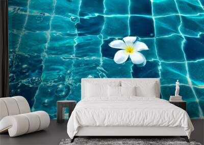 Beautiful flower on the water surface Wall mural