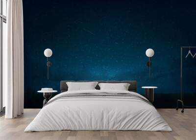 Night shining starry sky, milky way. Dark blue space background with stars, nebula, meteor. Starlight night in nature, cosmos. Meadow, field. Vector illustration Wall mural