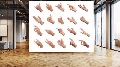 Different hand gestures, finger signs icons set, big pack, collection isolated on white background. Wall mural