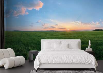 Grass meadow nature landscape field in sunset sunrise sky green rural summer. Sun blue sunlight beauty plant in land cloud country countryside agriculture morning evening spring Wall mural