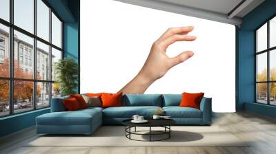 Hand gesture, thumb and index finger showing something small, little, isolated on white Wall mural