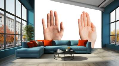 Hands, palms gesturing up, saying hi, greeting, hello, bye isolated on white Wall mural