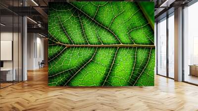 Leaf macro texture, green nature background. AI generative Wall mural