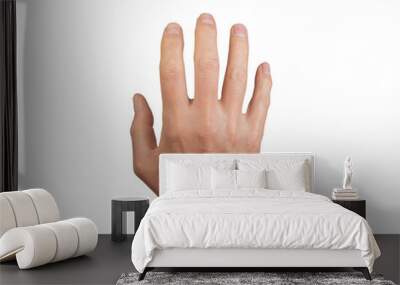 Male hand with fingers apart, showing a gesture of hello or goodbye. Isolated on a white background, dorsal view. Ideal for communication and medical anatomy concepts., transparent PNG Wall mural