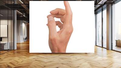 Touching finger pointing, hand gesturing. Clicking index finger isolated, unseen interact arm point. Man note human choice direction, touch pick mark. Button expression select, transparent cutout PNG Wall mural