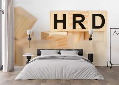 hrd word written on wooden cubes. hrd text on table, concept. Wall mural