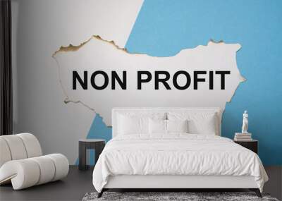 the word non profitwritten on a written on a white sheet of paper which lies on a white and blue background Wall mural