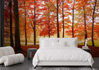 Autumn curtain Wall mural