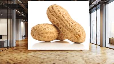 Two nuts peanuts in shell isolated on white background Wall mural