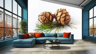 Cones Pinus sibirica or Siberian pine cones on light background Wall mural