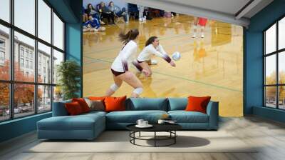 College volleyball player on her knee digging a hit Wall mural