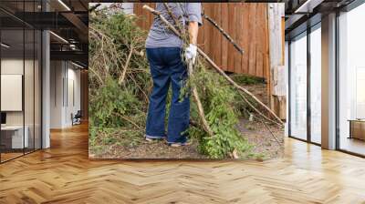 A person is seen from the rear wearing denim jeans and safety gloves, clearing branches and tree debris from driveway after stormy weather. Wall mural