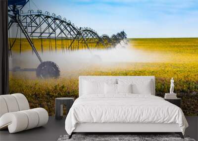 A side view of a long center pivot water irrigation sprinkler system spraying crops from above in a large field, with copy space to the right Wall mural