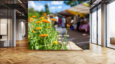 Orange flowers at the farmer's market with blurry people and food stalls in the background - 1/2 - Closeup picture with vibrant colors, taken outside in a french canadian farmer's market Wall mural