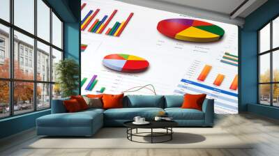 Graphs and Charts Report Wall mural