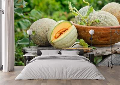 Raw organic melons Wall mural