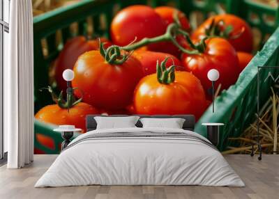 A close-up of a green plastic basket filled with freshly harvested tomatoes. The tomatoes  Wall mural