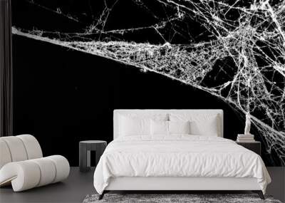 spider web on a dark background Wall mural