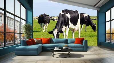 Cows Wall mural