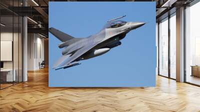 Fighter jet flyby Wall mural