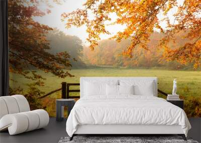 Wooden gate to a meadow with sunlight shining through the trees in a forest during Autumn. Wall mural