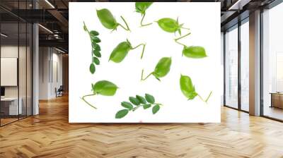 Green chickpeas in the pod with green leaves and flower, isolated on white background. Cicer arietinum. Clipping path. Top view. Wall mural