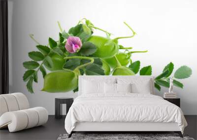 Green chickpeas in the pod with green leaves and flowers, isolated on white background. Cicer arietinum. Clipping path. Wall mural