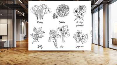 Flowers vector line drawing. Anemone drawn by a black line on a white background. Crocuses, fern, holly Wall mural