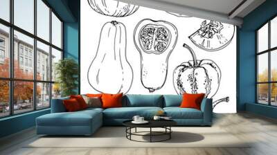 Set of vegetables. Fresh food. Pumpkins line drawn on a white background. Vector illustration. Coloring for adults Wall mural