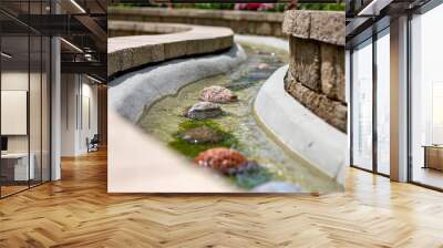 stones in a curved stream Wall mural