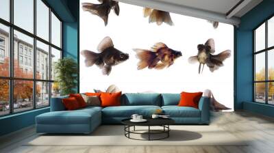 Set of Black  Goldfish on White Background Without Shade Wall mural