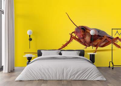 3d illustration of Cockroach on color background HD Wall mural