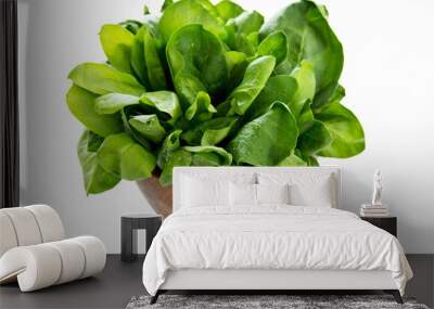 Spinach Wall mural