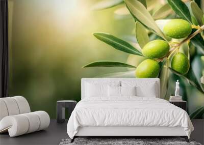 Green Olives on Branch Wall mural